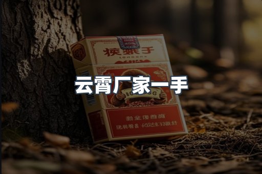 云霄厂家一手